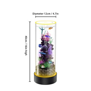  Desktop Small Fish Tank | Maintenance-Free, Year-Round Pure Water 12*40cm